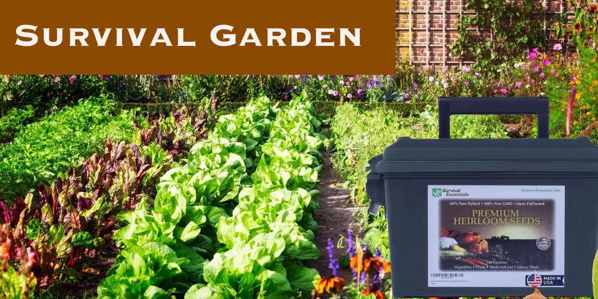 A vegetable garden with rows of leafy greens; inset shows a black box labeled "Premium Heirloom Seeds" under the heading "Survival Garden," perfect for those who choose to build a resilient homestead or create their own seed vault.