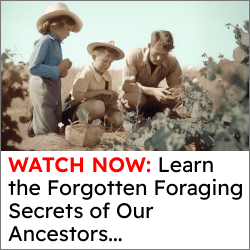 Three people in old-fashioned clothing examine plants in a garden. Text below reads: "WATCH NOW: Discover the Single Post that Reveals the Forgotten Foraging Secrets of Our Ancestors...