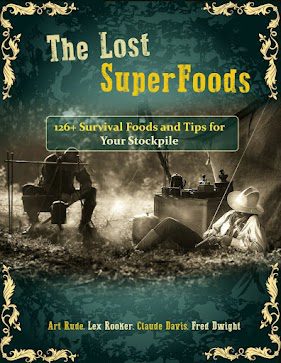 Book cover of "The Lost SuperFoods" featuring a main campsite scene with a person resting under a makeshift canopy and another seated by a single post, surrounded by camping gear.