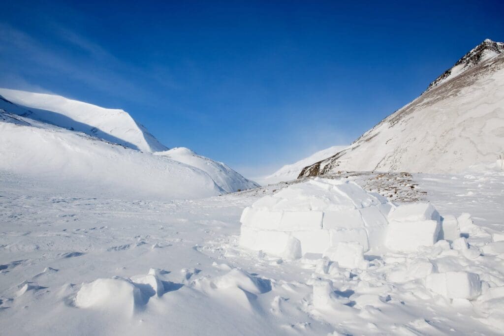 Survival Shelter Location Igloo Igloo