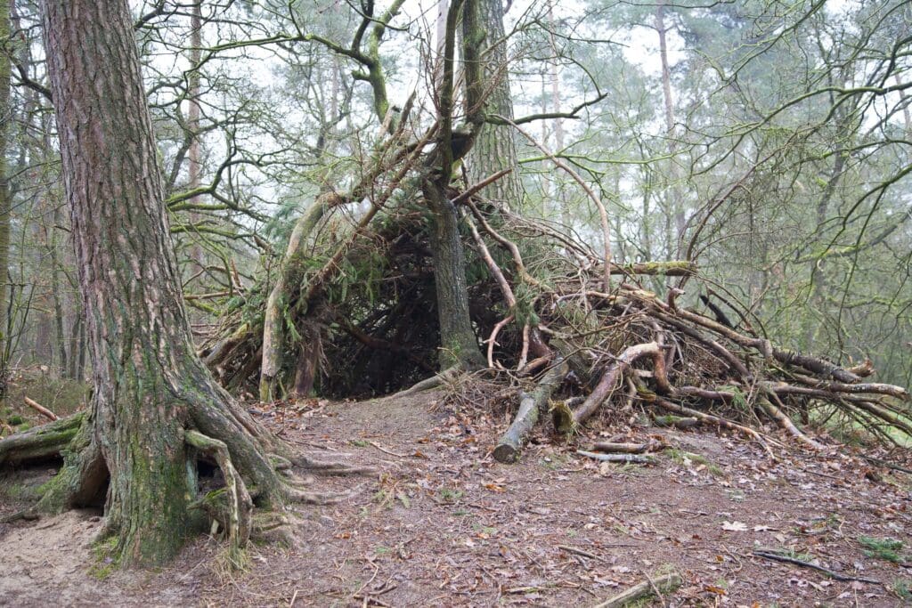 Improvised Shelter in woods