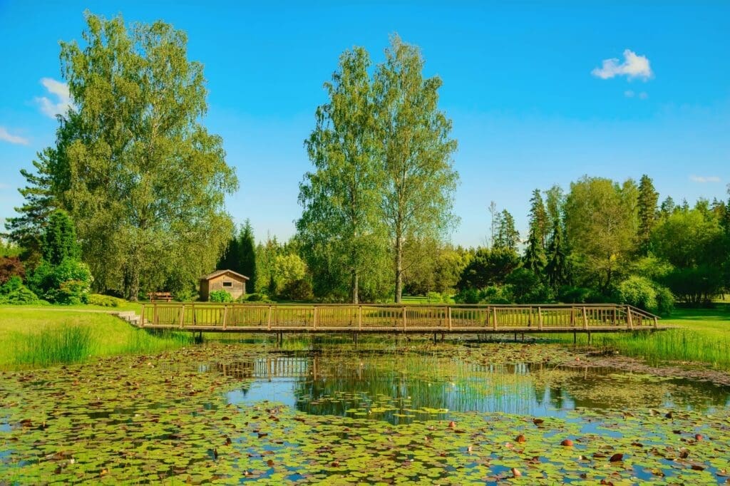 Survival Water bridge-over-the-pond