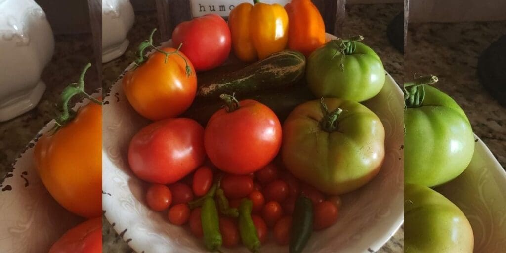 Single Day Harvest on my first garden season