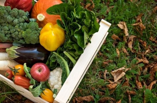 Fresh vegetables, wooden box