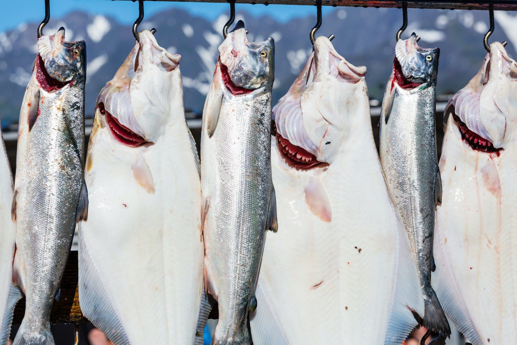 Fishing in Alaska