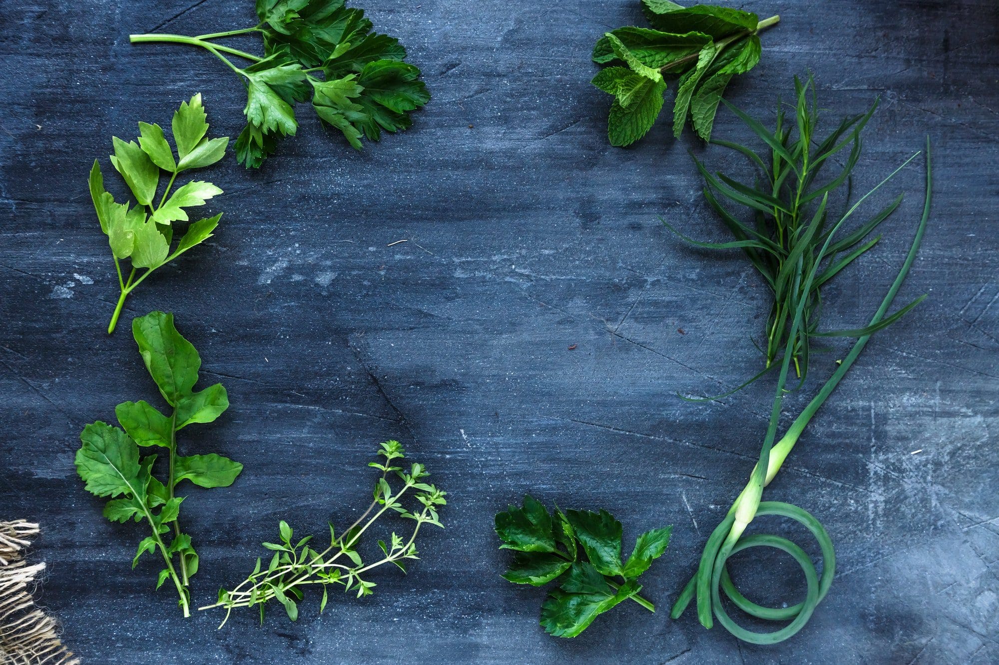 Fresh herbs frame on dark background, top view