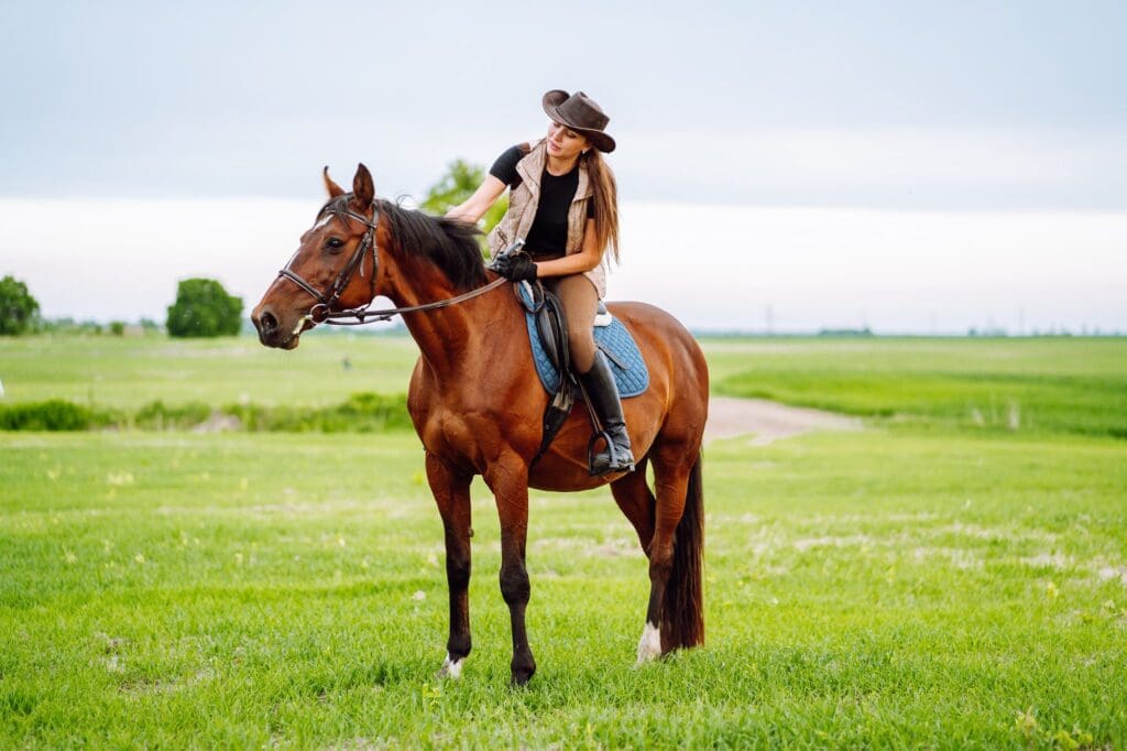 Woman horse riders it on a brown horse