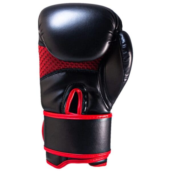 PREMIER DELUXE BOXING GLOVES - BLACK/RED.