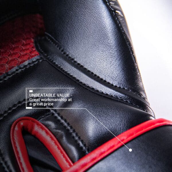 Close up, PREMIER DELUXE BOXING GLOVES - BLACK/RED.