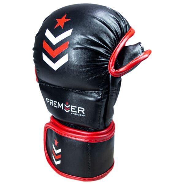 MMA Gloves