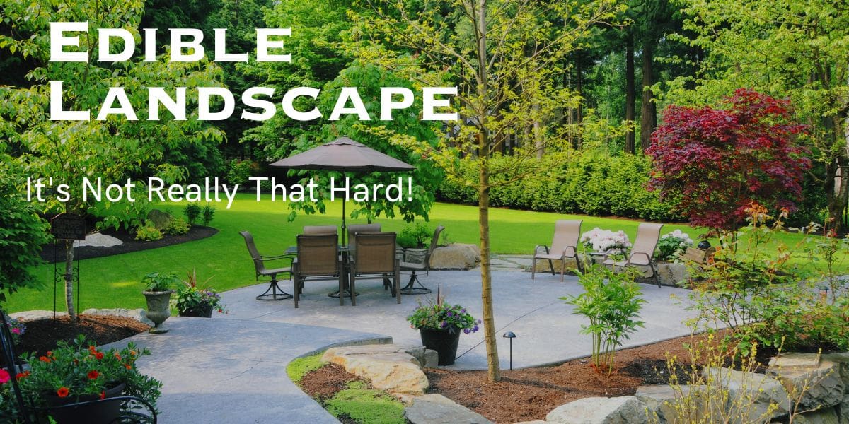 Replace Your Yard With An Edible Landscape | Here's Why | Modern ...