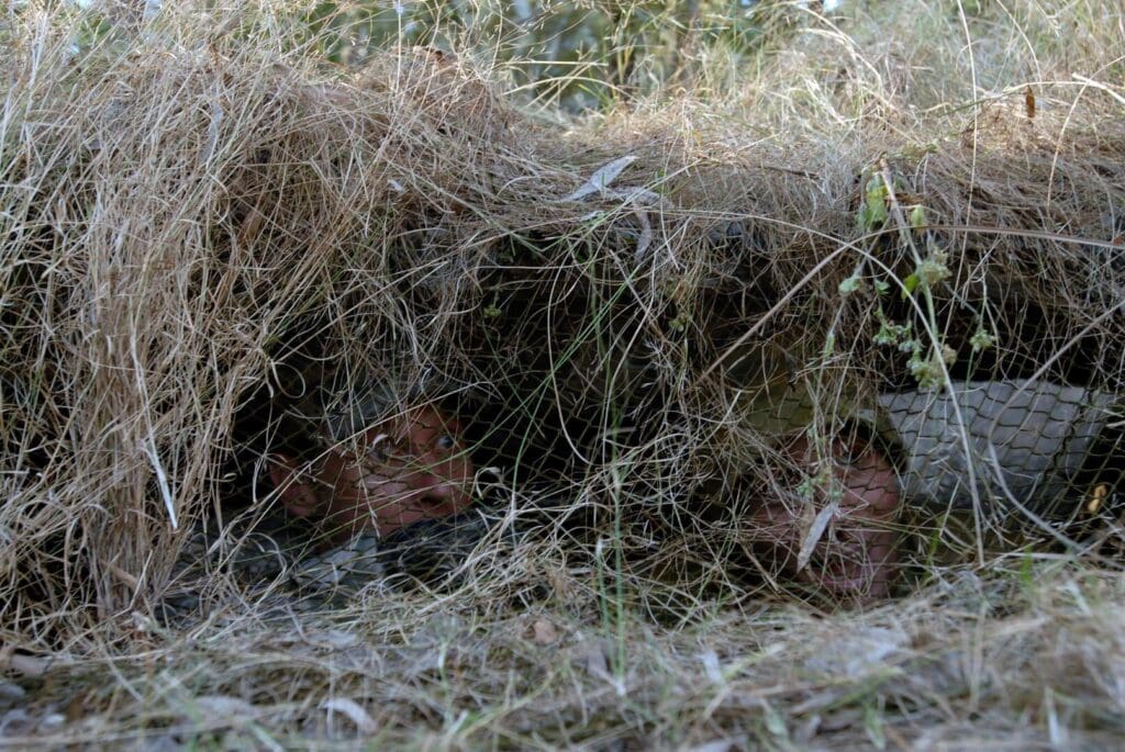 A man is hiding in a grassy area.