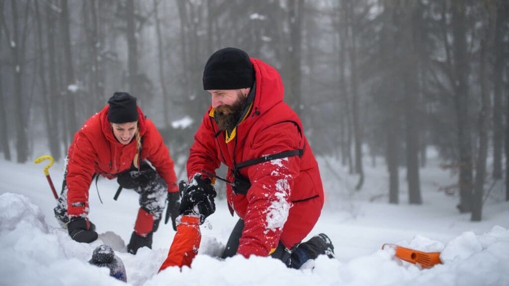 Mountain rescue service on successful operation, snow and avalanche concept.