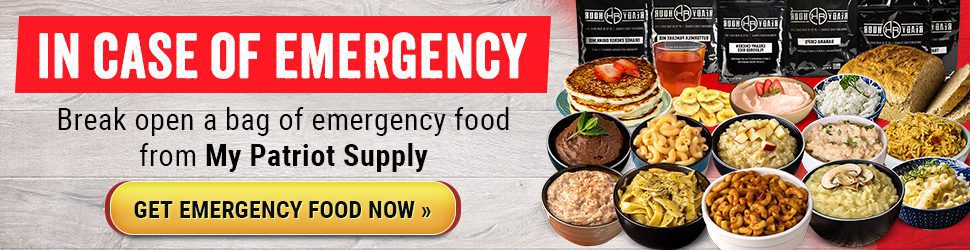 Banner featuring "In Case of Emergency" text, various bowls of food, including Wise Vegetable and Pasta Rigatoni, and a button labeled "Get Emergency Food Now" from My Patriot Supply. Perfect for the Prepper's Perspective on quick and reliable meal solutions.